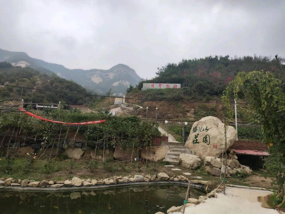 东北虎刚出生的时候身体长几米？