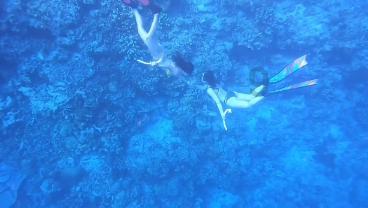 救援旅行男孩