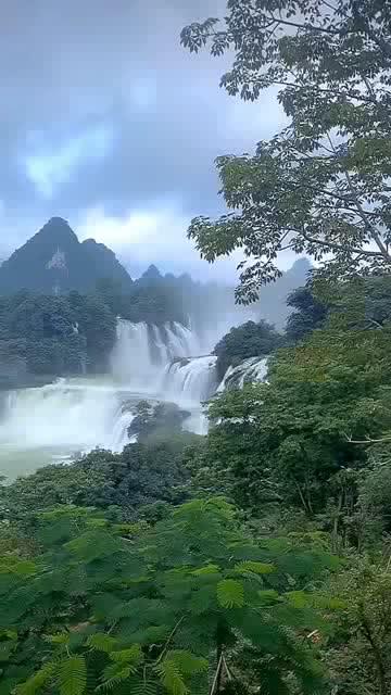 寻找迷路的松鼠
