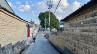 主公莫慌